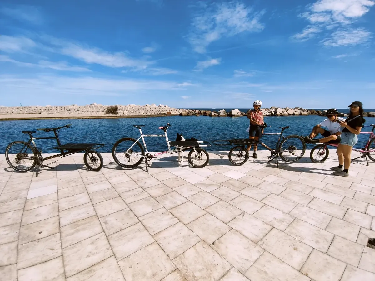 Earlybird crew and their cargo bikes by the sea, a dog resting on one of the bikes
